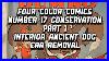 Four-Color-Comics-Number-17-Conservation-Part-1-01-vxvi
