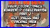 Four-Color-Comics-Number-17-Conservation-Part-2-Heat-Press-And-Tacking-Iron-01-wbvb